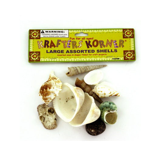 Natural Craft Shells, Assorted Shapes And Sizes