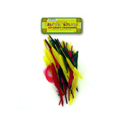 50 Colored Craft Feathers