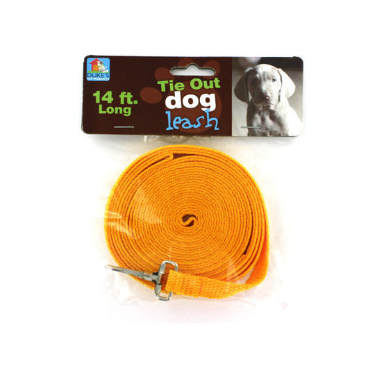 Dog Tie-Out Leash