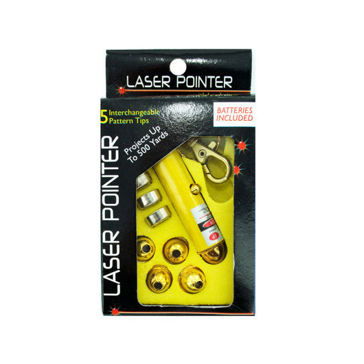 Laser Pointer With Interchangeable Heads