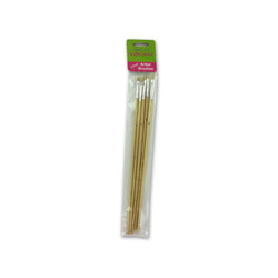 5 Pack Artist Brushes