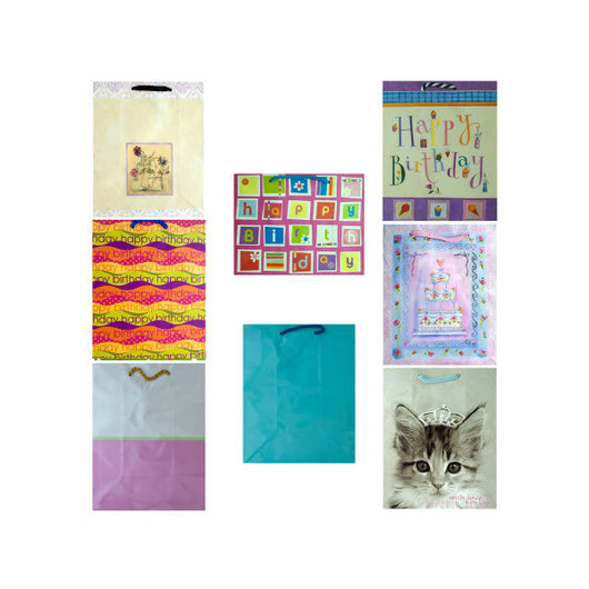 2 Pack Medium Gift Bags