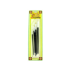 5 Piece Set Artist Brushes