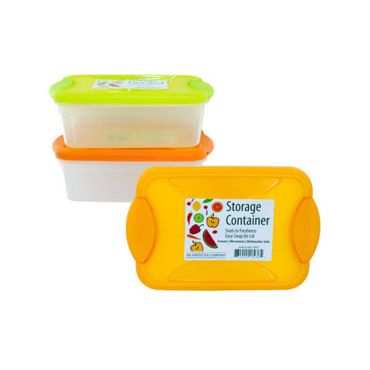 Storage Container With Locking Lid