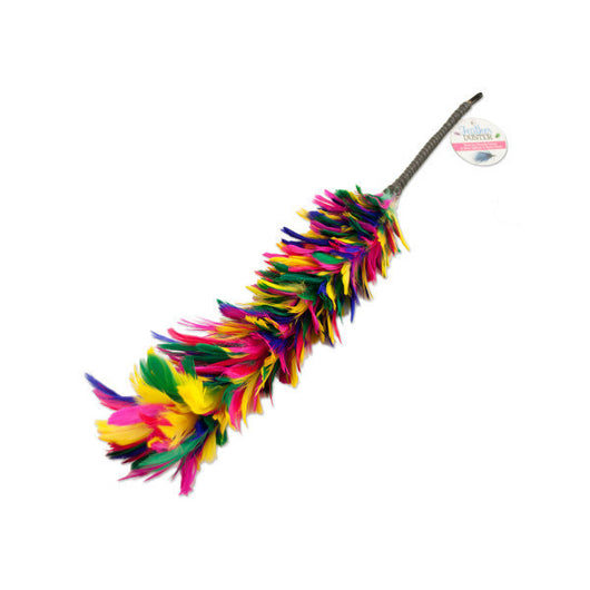 Feather Duster