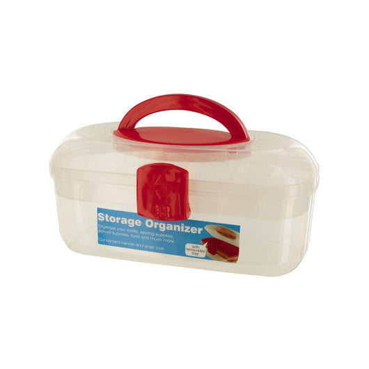 Storage Organizer Box With Handle And Removable Tray