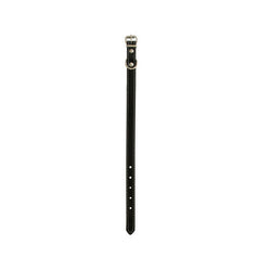 Small Vinyl Dog Collar