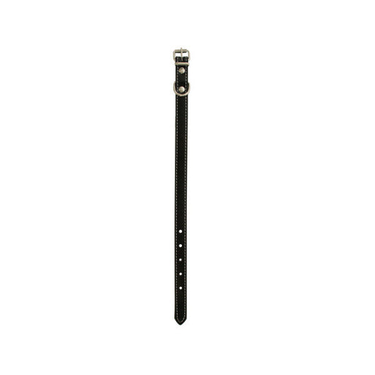 Small Vinyl Dog Collar